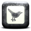 twittericon